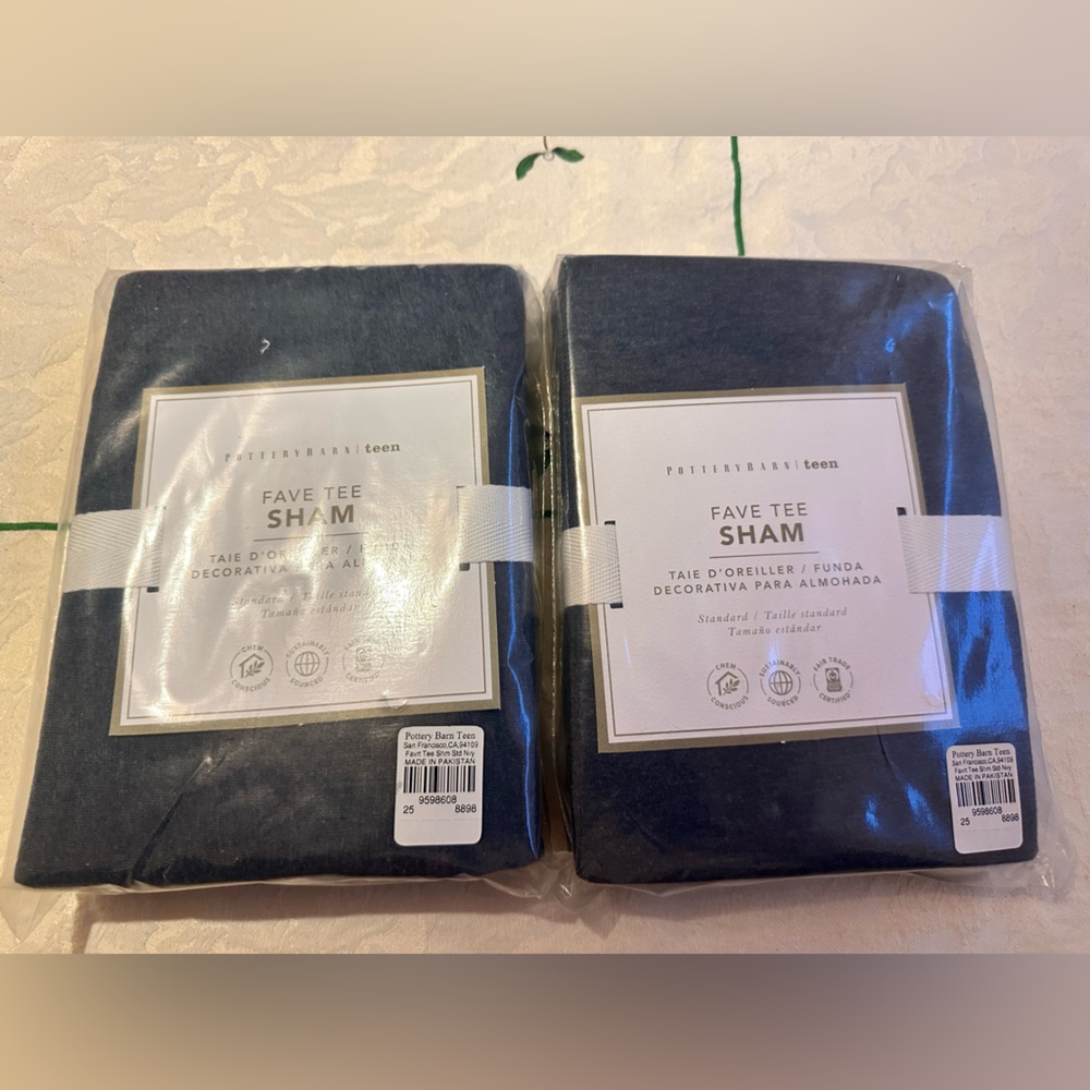 NEW POTTER BARN TEEN SHAMS SET 2